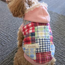 パーカー/トレーナー