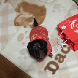 ベーシックラグランTシャツ