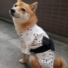 オーバーレインコート