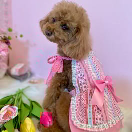 ひめさんの作品