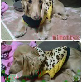 カバーオール(つなぎ)