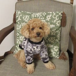 トレーナー・3Wayパーカー