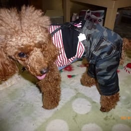 カバーオール(つなぎ)