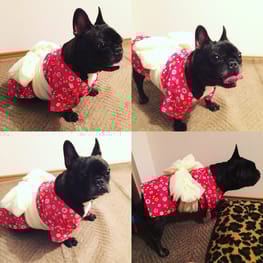 ラッフルスリーブトップス