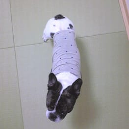 ダウンジャケット