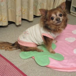 トレーナー・3Wayパーカー