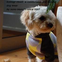 ショールカラーカーディガン