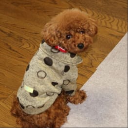 アロモアママさんの作品