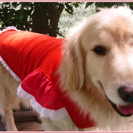 ベーシックラグランTシャツ