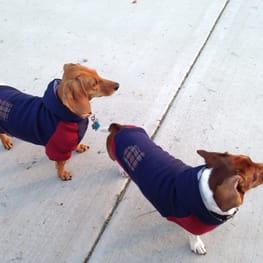 スカート/サロペット