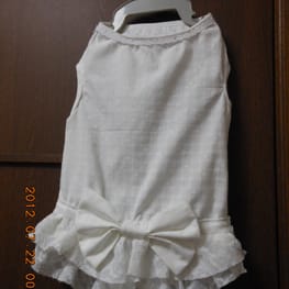 ドッグスリング