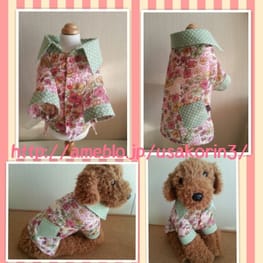 パーカー/トレーナー