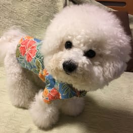 トレーナー・3Wayパーカー