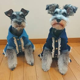 ダウンジャケット