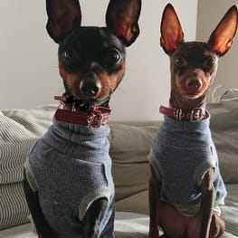 ダウンジャケット