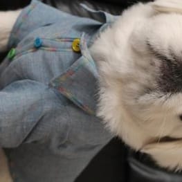 バルーンブラウス