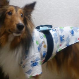 ドッグスリング