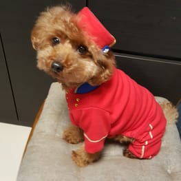 バルーンブラウス