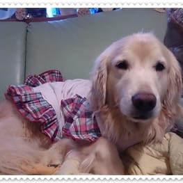 ベーシックラグランTシャツ