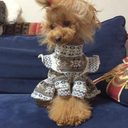 puiloveさんの作品