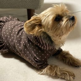 ベーシックラグランTシャツ