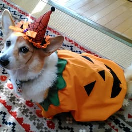 ちゃんちゃんこ