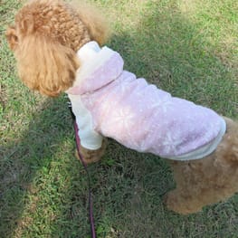 パーカー/トレーナー