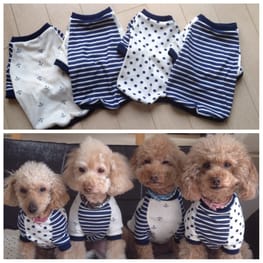 ショールカラーカーディガン