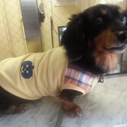 ベーシックタンクトップ&Tシャツ