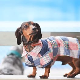 ダウンジャケット