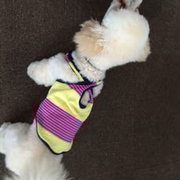 ベーシックタンクトップ&Tシャツ