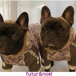 パーカー/トレーナー