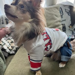 スモック/チュニック