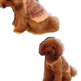 サニタリー・マナーパンツ