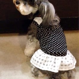 ダウンジャケット