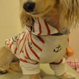 ダウンジャケット