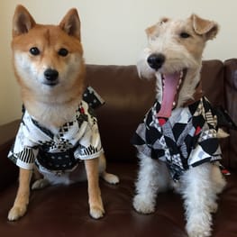 ハーネスウェア