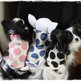 バルーンブラウス