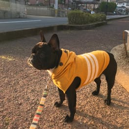 トレーナー・3Wayパーカー