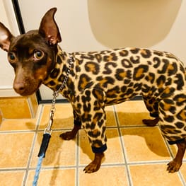 ラグランタンク・ラグランワンピ