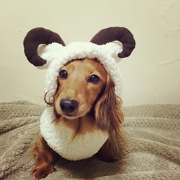 ベーシックタンクトップ&Tシャツ