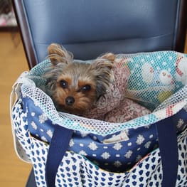 ハーネスウェア