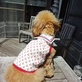 リボンワンピース