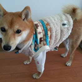 ハーネスウェア