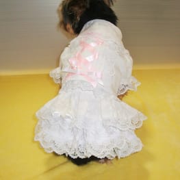 かさたんさんの作品