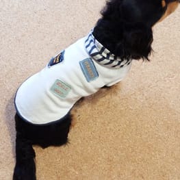 gohanさんの作品