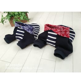 ラッフルスリーブトップス