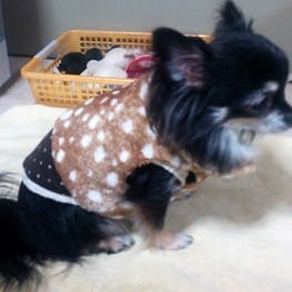 はなぴょんさんの作品