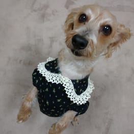 ダウンジャケット