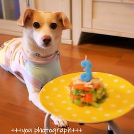 ベーシックラグランTシャツ